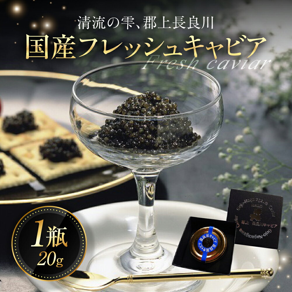【ふるさと納税】国産フレッシュキャビア 20g 郡上 長良川 キャビア フレッシュキャビア 国産 国産キャビア チョウザメ きゃびあ キャビア 贈答 ギフト プレゼント パーティ 手土産 お土産 高級 希少 貴重 稀少 珍味 お酒 おつまみ クリスマス お祝い 送料無料 岐阜県 郡上市