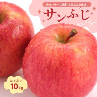 【2027年3月前半発送】 りんご 約10kg サンふじ 青森産 糖度 13度以上　贈答用 特選～特秀