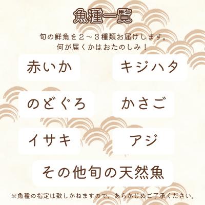 ふるさと納税 下関市 旬 鮮魚 ボックス 約 2kg 下処理 済 詰め合わせ セット 刺身 下関 山口 IA101 |  | 01