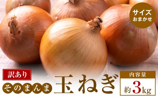 
                  訳ありそのまんま玉ねぎ　約3kg　【5月中旬～6月下旬】
                