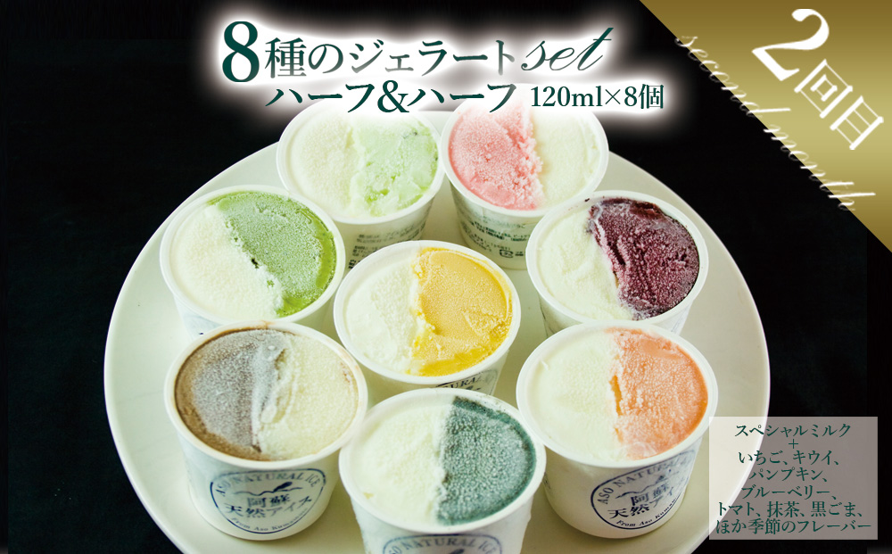 【グランプリ受賞】【定期便/全3回】アイスクリームやジェラートを3か月お届け！【阿蘇天然アイス 熊本 阿蘇 熊本県 阿蘇市】