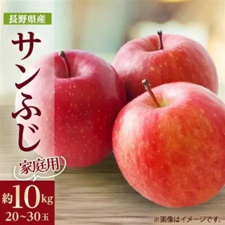 【家庭用】りんごの王様　長野県産 りんご　サンふじ　約10kg(20～30玉程度)【配送不可地域：離島】【1574738】