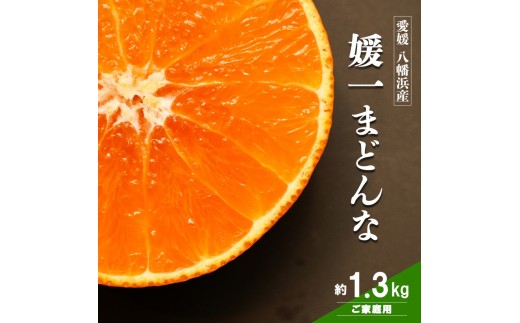 【先行受付】ゼリーのような食感！「媛一まどんな」約1.3kg入【28-47】_みかん ミカン  まどんな マドンナ 柑橘 柑橘類 フルーツ 果物 くだもの 人気 美味しい 愛媛県 八幡浜 ふるさと YWTN030