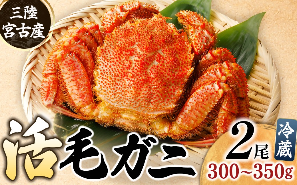 
                  三陸宮古産　活毛ガニ　300g～350g×2杯【1711353】
                