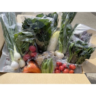 【栽培期間中農薬・化学肥料不使用です】ともときファーム丹波の季節の野菜セットM【配送不可地域：離島】