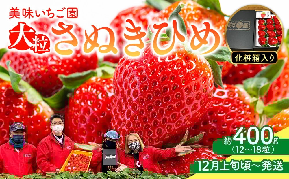 
            【12月上旬頃～発送】美味いちご園「さぬきひめ」化粧箱入り 400g
          