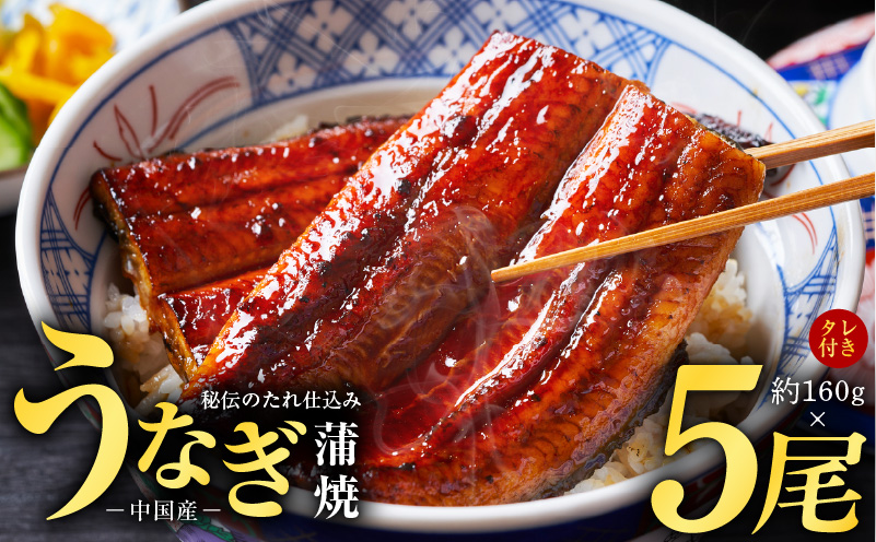 うなぎ蒲焼 合計800g【約160g×5尾 特製タレ付 鰻 ウナギ 中国産 レンジ 温めるだけ 簡単調理 ふわふわ 炭火焼き 備長炭 手焼き】 kgp0020-1