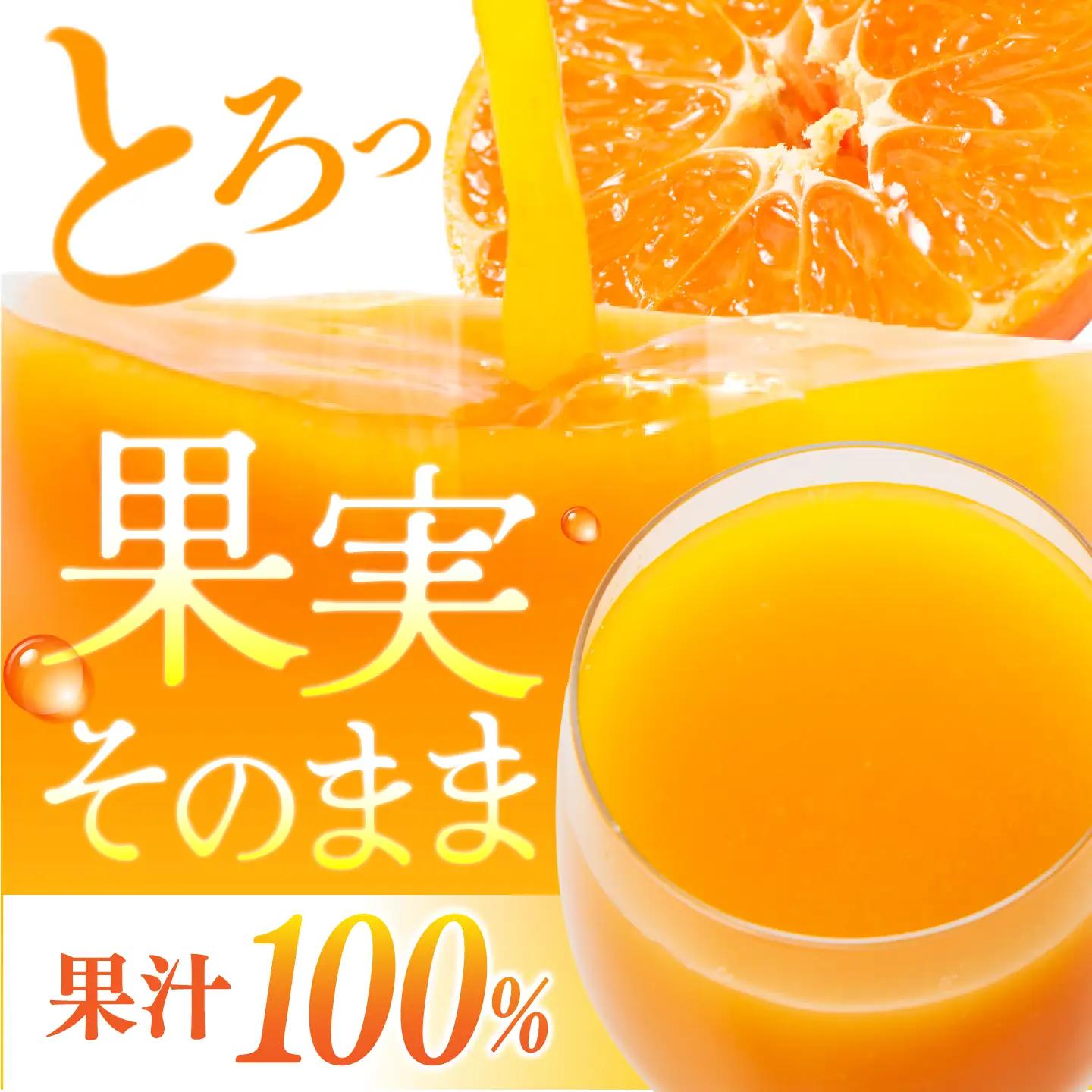 先行予約 3回定期便 原口みかんジュース ソレイユのしずく 720ml [CCK042] 原口みかん