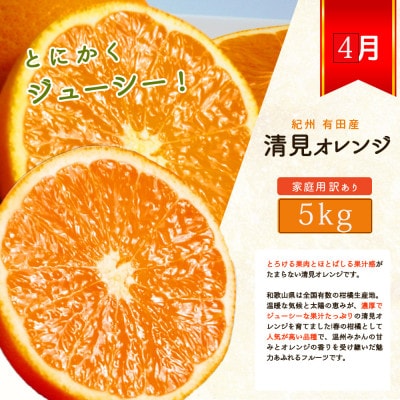 【発送月固定定期便】紀州和歌山産旬のご家庭用柑橘セット(みかん・不知火・せとか・清見)全4回【配送不可地域：離島】