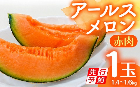 【先行予約】期間限定 数量限定 宮崎産 アールスメロン <赤肉> 1玉 (1.4～1.6kg)