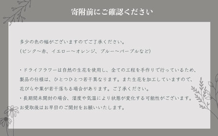 【ホワイト】ドライフラワー リース　Mサイズ【flowerbasket namika】 [AKGA004-1]