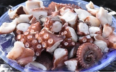 C4-13 船上活締め！！真ダコボイルぶつ切り（200g×5P）