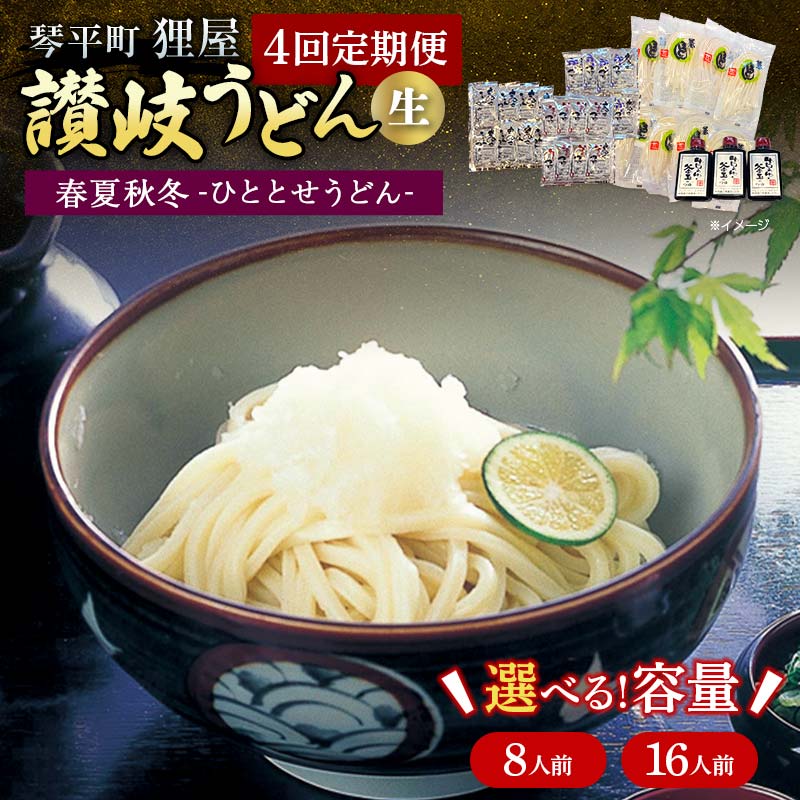 【ふるさと納税】＼選べる容量／春夏秋冬-ひととせうどん- 定期便 8人前 16人前 生うどん つゆ うどん 本場 讃岐 讃岐うどん さぬきうどん ご当地 グルメ 名産品 食品 四国 F5J-930var