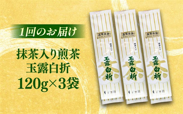 【全3回定期便】抹茶入り煎茶玉露白折120g×3袋セット(ご自宅用) 島根県松江市/株式会社千茶荘 [ALBF010]