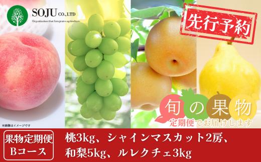 先行予約 旬の果物定期便 4回 Bコース (桃3kg、シャインマスカット2房、和梨5kg、ルレクチェ3kg) 令和7年度 フルーツ定期便 旬 桃 白桃 シャインマスカット ぶどう 梨 洋梨 ルレクチェ 西洋梨 新潟県 三条市産  [三条果樹専門家集団]【083S009】