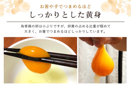 平飼い極上のうこっけいの卵24個（20＋補償4個）×定期便6回 卵かけご飯 卵かけごはん TKG 卵 たまご タマゴ 玉子 烏骨鶏 烏骨鶏の卵 安全 テレビ TV マニアさん 健康 美容 ご飯 すき焼