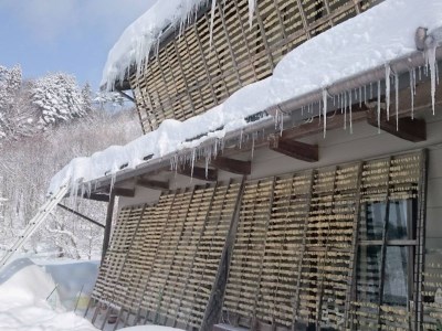 《先行予約》【2024年2月上旬より発送】奥飛騨山之村 寒干し大根 2箱 煮物 すき焼き 漬物 などに[A0119]