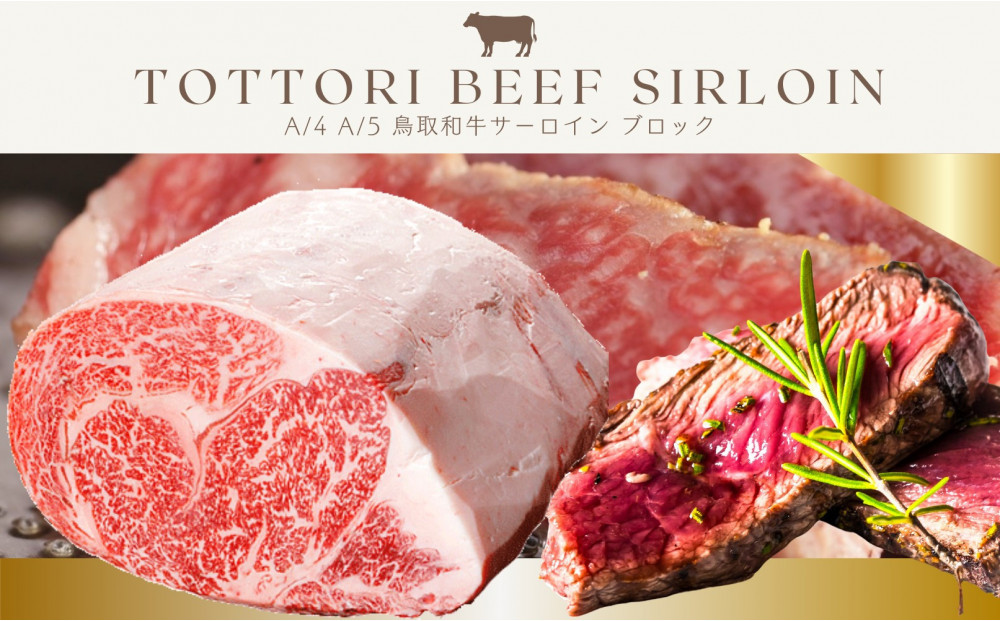 鳥取和牛 サーロインブロック 3kg 312011_FT009