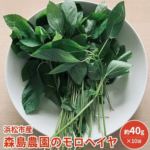 浜松市産 森島農園のモロヘイヤ 約40g×10袋 モロヘイヤ 野菜 葉物野菜 緑黄色野菜 天ぷら おひたし 和食 静岡 浜松市