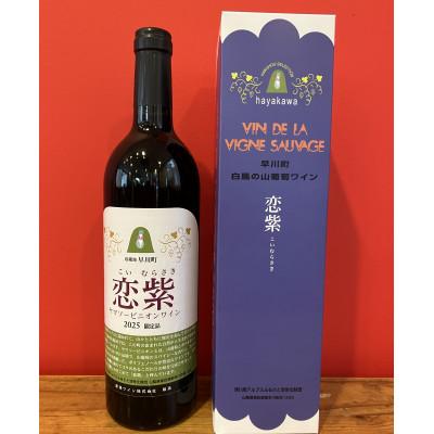 ふるさと納税 早川町 山葡萄ワイン飲み比べセット「恋紫2024」750ml×1本、「恋紫2025」750ml×1本