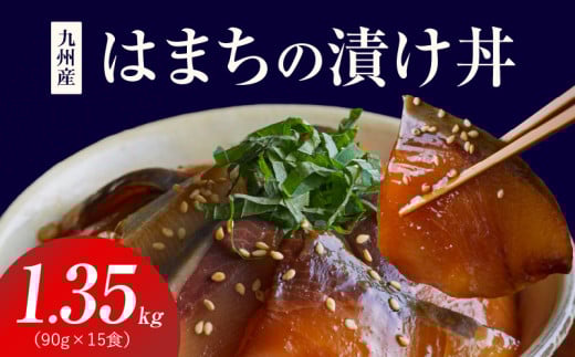 S155-004_九州産はまちの漬け丼 15食セット