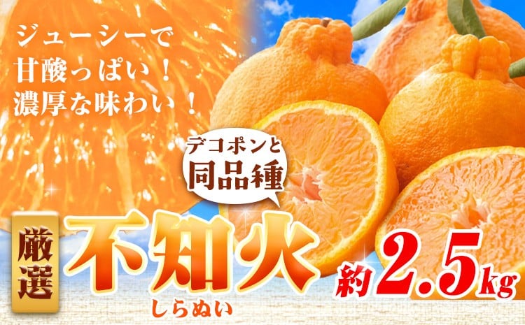 
                  プリッと濃厚!!旬を厳選 不知火 デコポン 同品種 みかん 選べる 約2.5kg+250g（傷み補償） 池田鹿蔵農園 《2026年2月上旬-3月末頃より出荷予定》和歌山県 日高町 送料無料 しらぬい でこぽん 濃厚 厳選みかん 厳選デコポン 傷み補償分付き【配送不可地域あり】
                