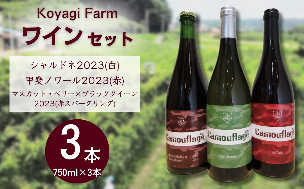 ワイン 3本セット シャルドネ2023 (白)  ＋ 甲斐ノワール2023 ＋ マスカット・ベリー×ブラッククイーン2023(赤スパークリング)【110076-002-06】