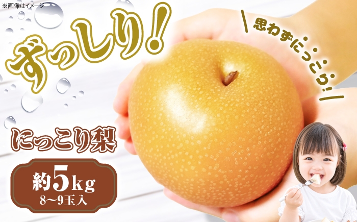 
                  にっこり 梨 (約5kg/8～9玉入) なし ナシ 果物 フルーツ 三次市 / 西田農園 [APDH001]
                