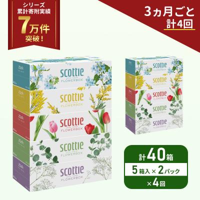 ふるさと納税 岩沼市 定期便 ティッシュ スコッティ40箱 (5箱×2P)《計4 回》[No.5704-1135]