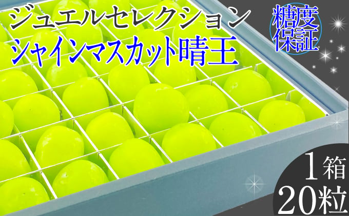 
            2025年 先行予約受付中 シャインマスカット晴王 ジュエルセレクション 1箱20粒 岡山県産 種無し 皮ごと食べる みずみずしい 甘い フレッシュ 瀬戸内 晴れの国 おかやま 果物大国 ハレノフルーツ
          