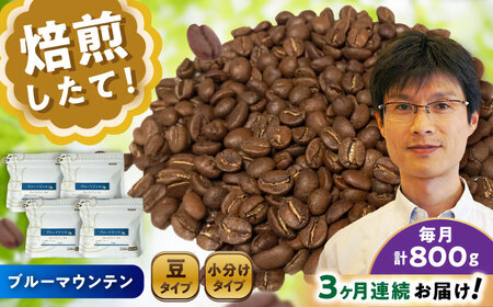 【全3回定期便】ブルーマウンテンNo.1　コーヒー豆　200g×4個 (豆)  / コーヒー  ドリップ  豆 / Coffee SAKURA[BBAB083]