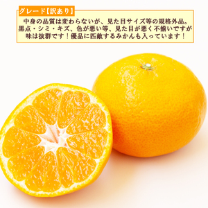 【予約受付】 訳あり 寿太郎 みかん 5kg みかん
