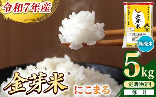 
                  【定期便】BG無洗米・金芽米にこまる 5kg×6ヵ月 （毎月）【令和7年産 時短 健康 米 BG 無洗米 計30kg 島根県産 節水 アウトドア キャンプ 東洋ライス おすすめ 島根県 安来市】【価格改定】
                