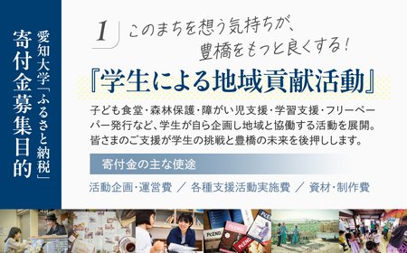 ≪返礼品無し≫【愛知大学】豊橋市大学応援寄附 10000円 大学寄附 愛知県豊橋市への寄附 返礼品無し 寄附のみ 豊橋市 穂の国 東三河 10000円 ポッキリ 愛知県 豊橋市