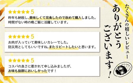  飛騨牛カレー (8袋) 飛騨牛トマトカレー (4袋)    訳あり 簡易包装 ふるさと清見 飛騨牛 トマトカレー  レトルトカレー お手軽      TR3294