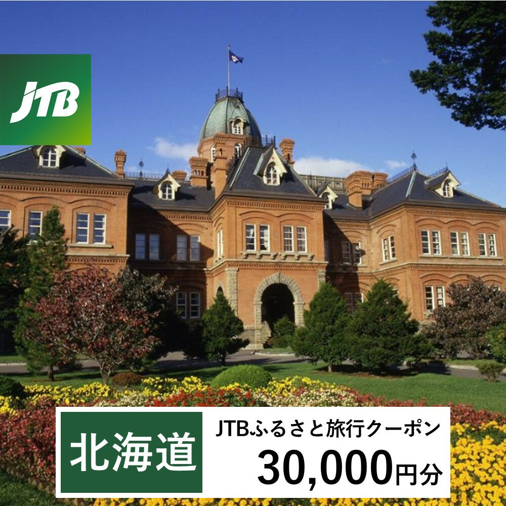 【ふるさと納税】【北海道】JTBふるさと旅行クーポン（Eメール発行）30,000円分 旅行 トラベル 宿泊 人気 おすすめ JTBW030T