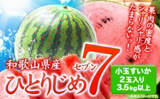 和歌山県産 小玉すいか ひとりじめ7(セブン) 2玉入り 3.5kg以上《2025年6月下旬-8月中旬頃出荷》 和歌山県 日高川町 スイカ 西瓜 すいか