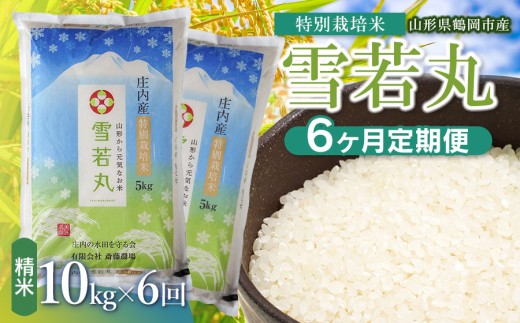 【令和8年産 新米】【定期便6ヵ月】斎藤農場の特別栽培米 雪若丸 精米 10kg(5kg×2袋)×6ヶ月 山形県鶴岡市 K-881 | 米 こめ コメ ゆきわかまる ブランド米 庄内米 ごはん ご飯 美味しい 国産 おにぎり 農家直送 おすすめ 人気 お取り寄せ 返礼品