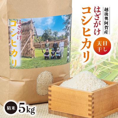 ふるさと納税 阿賀町 越後奥阿賀産はざがけ(天日干し)コシヒカリ