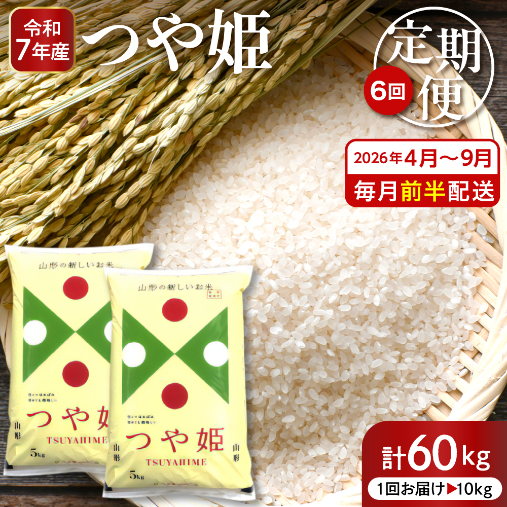 【2026年4月スタート】 特別栽培米つや姫10kg×6回(毎月 前半発送)定期便【深瀬商店】 hi053-050