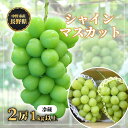 【ふるさと納税】長野県中野市産　冬でも食べれる　シャインマスカット2房(1.0kg以上)_ ぶどう 葡萄 ブドウ シャインマスカット フルーツ 果物 ふるーつ くだもの 国産 旬 産直 長野 人気 品種 送料無料 産地直送 甘い 贈答 ギフト 冷蔵 【配送不可地域：離島】【1331129】