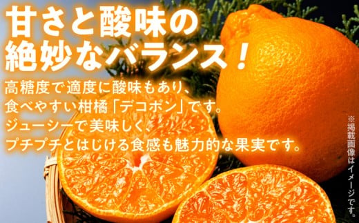 デコポン（不知火）約1kg　※2027年2月上旬頃から順次発送