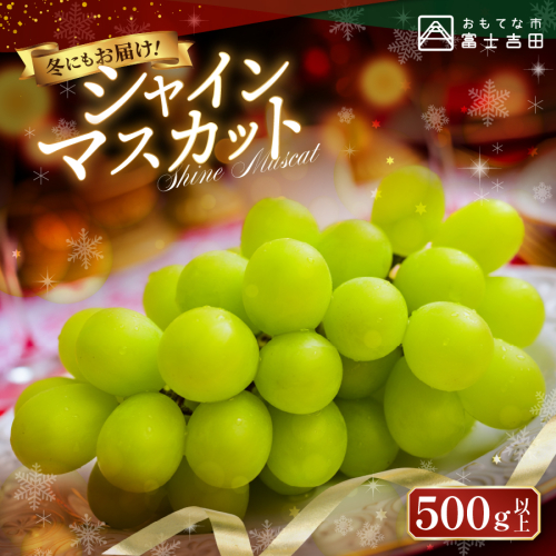 【お届け時期が選べる】ジューシーで甘さ抜群　厳選シャインマスカット500g