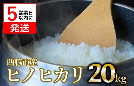 【ヒノヒカリ】令和７年産 白米20kg【5営業日以内に発送】