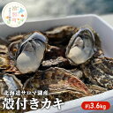 【ふるさと納税】【国内消費拡大求む】 北海道 サロマ湖産 カキ 約3.6kg 牡蠣 かき 海鮮 魚介 国産 殻付き 貝付き 生牡蠣 生食 焼き牡蠣 蒸し牡蠣 冷蔵 産地直送 オホーツク　魚貝類・生牡蠣・かき・カキ・牡蠣　お届け：2024年11月～2025年1月末頃まで