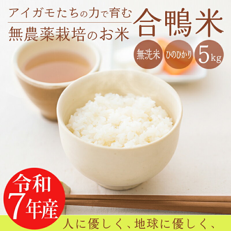 【ふるさと納税】 《新米》無農薬栽培 合鴨米ひのひかり 無洗米 5kg 送料無料 ミネラルを高濃度で含有の霧島山麓から湧き出る名水育ち 合鴨農法 故郷納税 残留農薬ゼロ 安全・安心 国産 宮崎県産 高原町産 産地直送 ごはん 白米 2025年産 令和7年産 故郷納税 22000円
