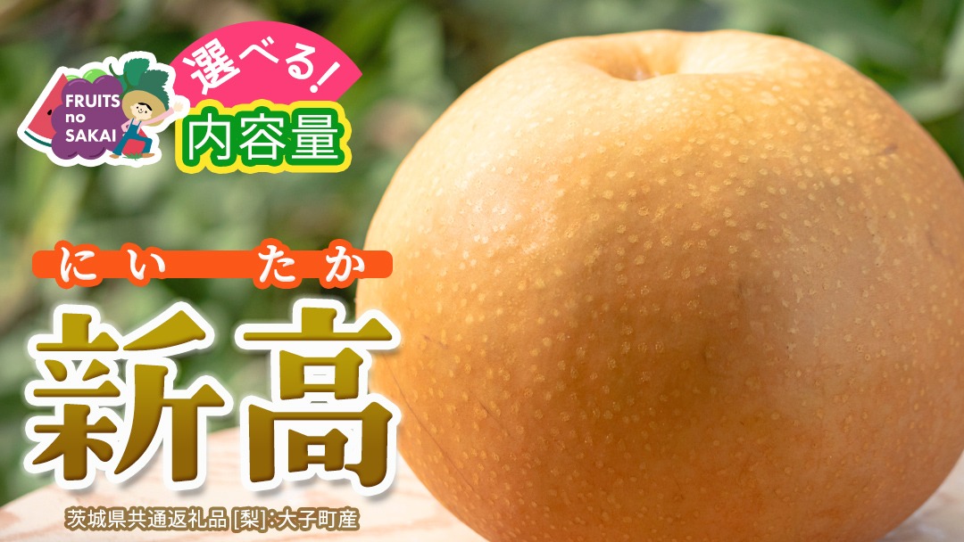 ＼選べる 内容量／新高 約3kg・約5kg【2026年10月より発送開始】（茨城県共通返礼品 [梨]：大子町産） 高糖度 ギフト 贈り物 プレゼント フルーツ なし ナシ 和梨 梨 果実 旬のフルーツ お取り寄せ くだもの 果物 みずみずしい