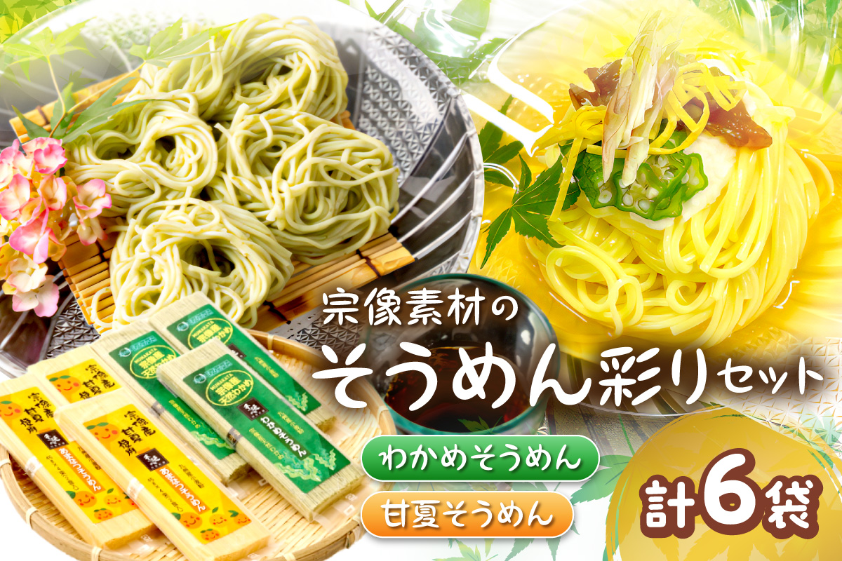 【道の駅むなかた】宗像素材の手延べそうめん彩りセット_HA1840