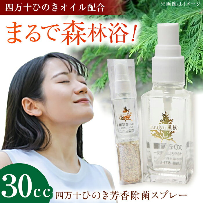 【ふるさと納税】四万十ひのき芳香除菌スプレー／風樹 除菌 除菌シート 抗菌 アルコール ウイルス対策 衛生 国産 【ひのき屋】[ATDC004]