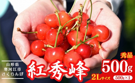 
                  【先行予約】令和8年産 さくらんぼ 「紅秀峰」2Lサイズ以上 秀品 500g 2026年産 山形県産【2026年6月中旬頃～7月上旬頃発送予定】※ 配送不可 沖縄・離島　021-A-HK029
                